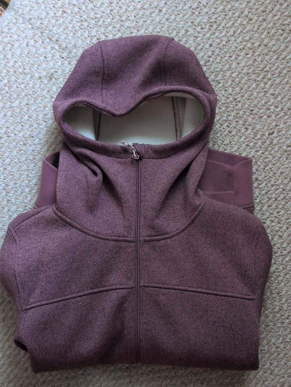 Burton Minxy Hoodie